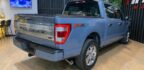 FORD F-150 PLATINUM 4X4 5.0 V8 405CV GASOL ANO.23/23