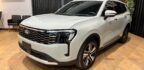 FORD TERRITORY TITANIUM 1.5 150CV – GASOLINA MOD.2026